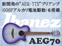 Ibanez AEG70/PIH