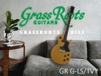 GR G-LS/TVY